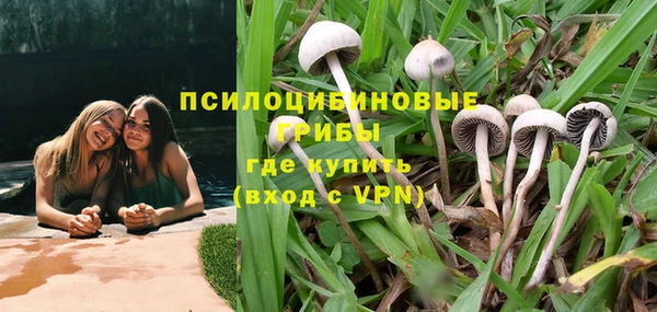 трава Балабаново